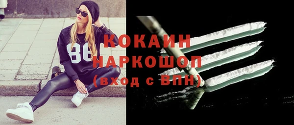 apvp Алексин