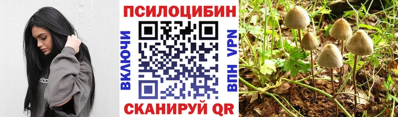 Галлюциногенные грибы прущие грибы  OMG как войти  Кинель  где можно купить наркотик 